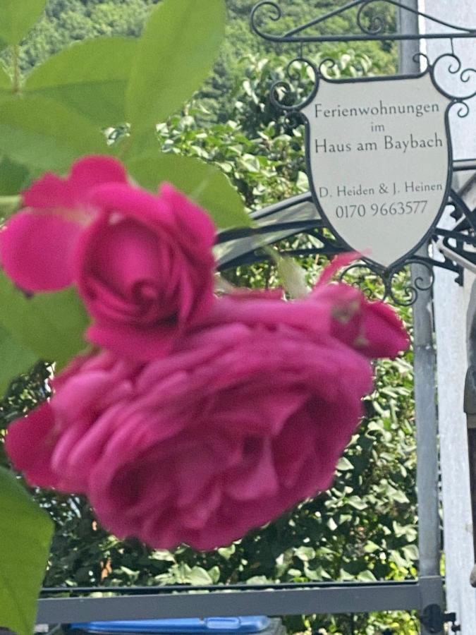 Ferienhaus Am Baybach In Burgen An Der Mosel المظهر الخارجي الصورة